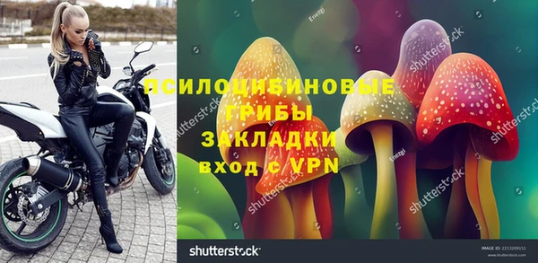 ешки Арсеньев