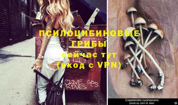 герыч Аркадак