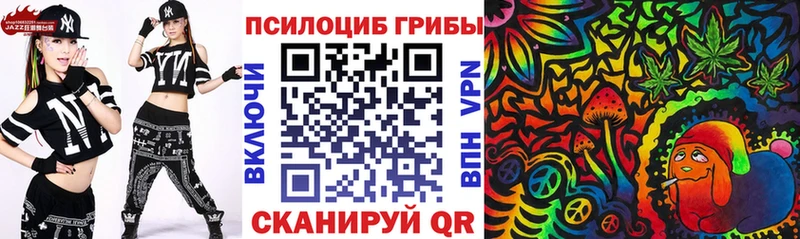 mega как зайти  где найти наркотики  Лодейное Поле  Галлюциногенные грибы Psilocybe 